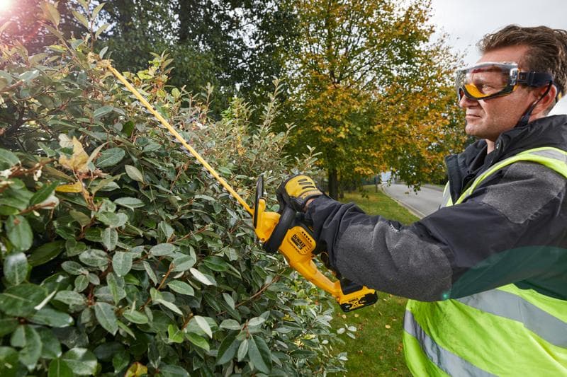 Une personne taille des haies avec une DEWALT DCM563PB, à l'extérieur près d'une rue et d'arbres en automne.